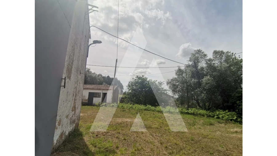 Armazém para Venda em Macinhata do Vouga Foto 23