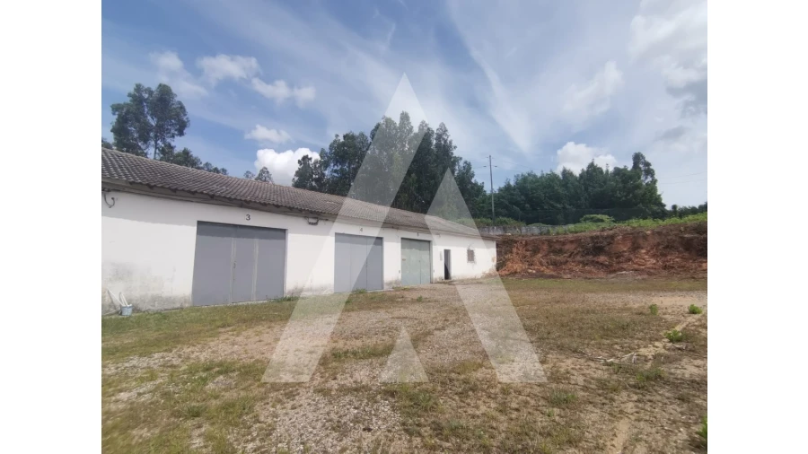Armazém para Venda em Macinhata do Vouga Foto 6
