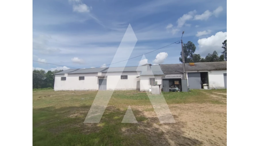 Armazém para Venda em Macinhata do Vouga Foto 17