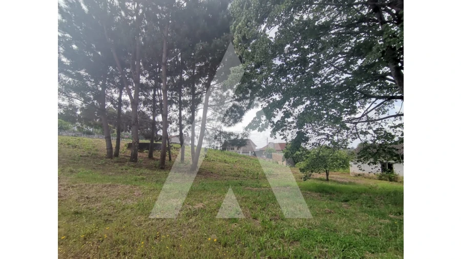 Armazém para Venda em Macinhata do Vouga Foto 27