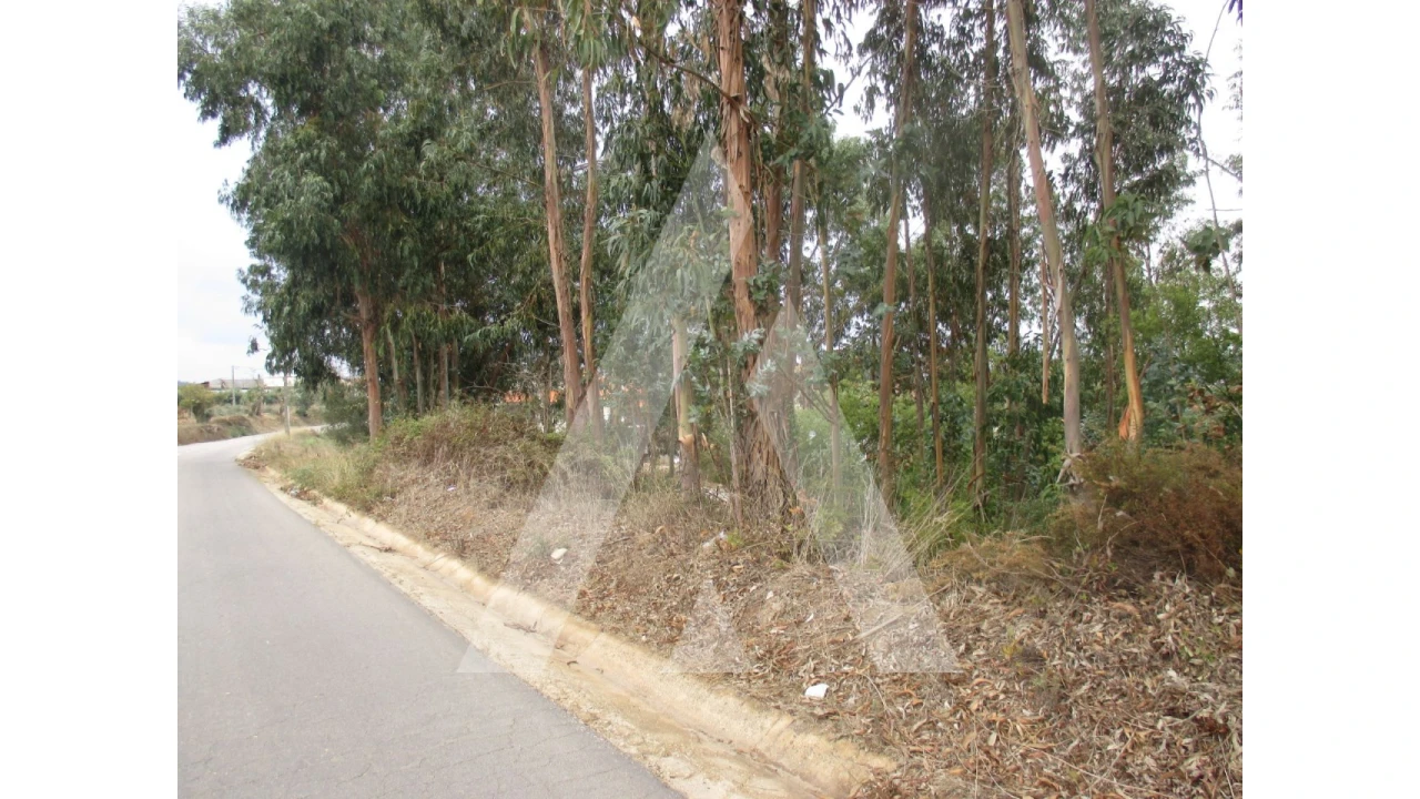 Terreno para Venda em Barrô e Aguada de Baixo Foto 5