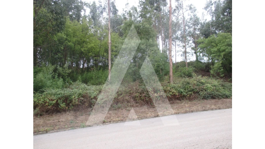 Terreno para Venda em Barrô e Aguada de Baixo