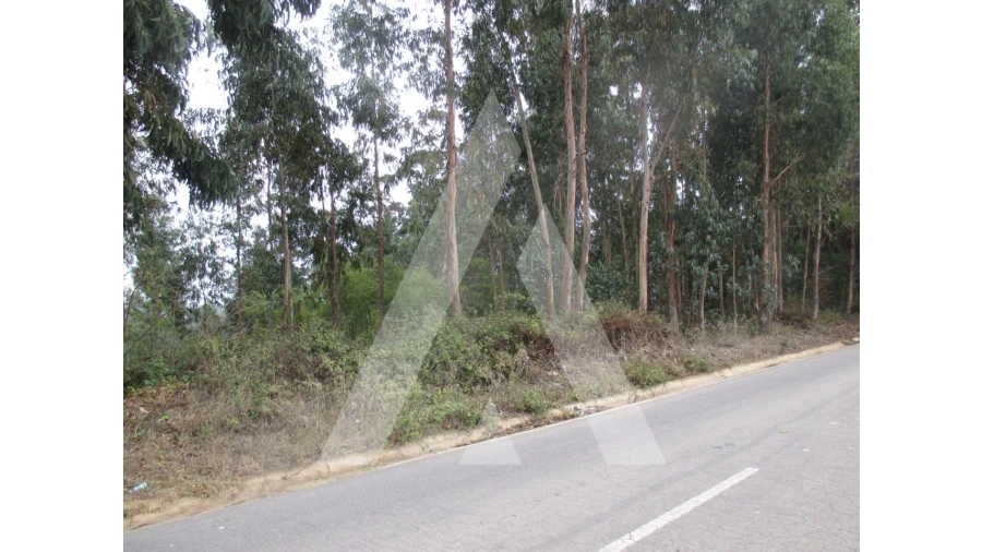 Terreno para Venda em Barrô e Aguada de Baixo Foto 4