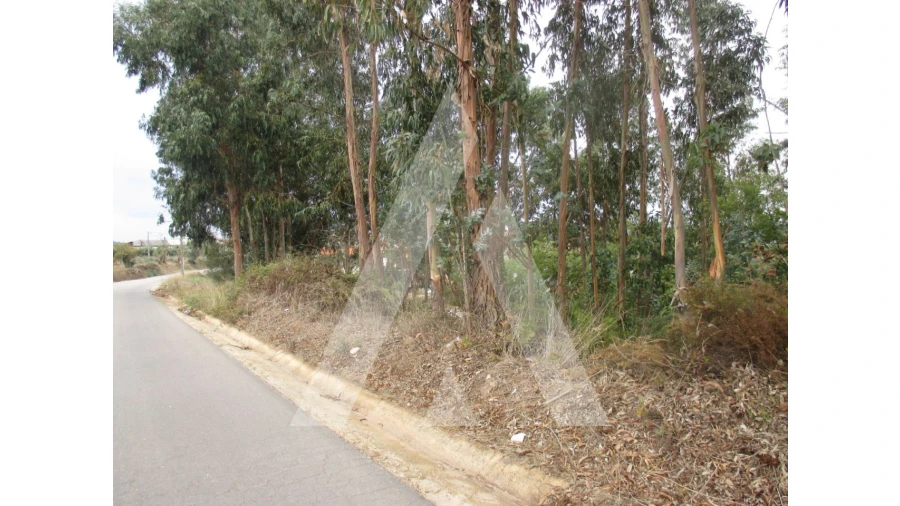 Terreno para Venda em Barrô e Aguada de Baixo Foto 5