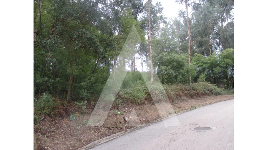 Terreno para Venda em Barrô e Aguada de Baixo Foto 2