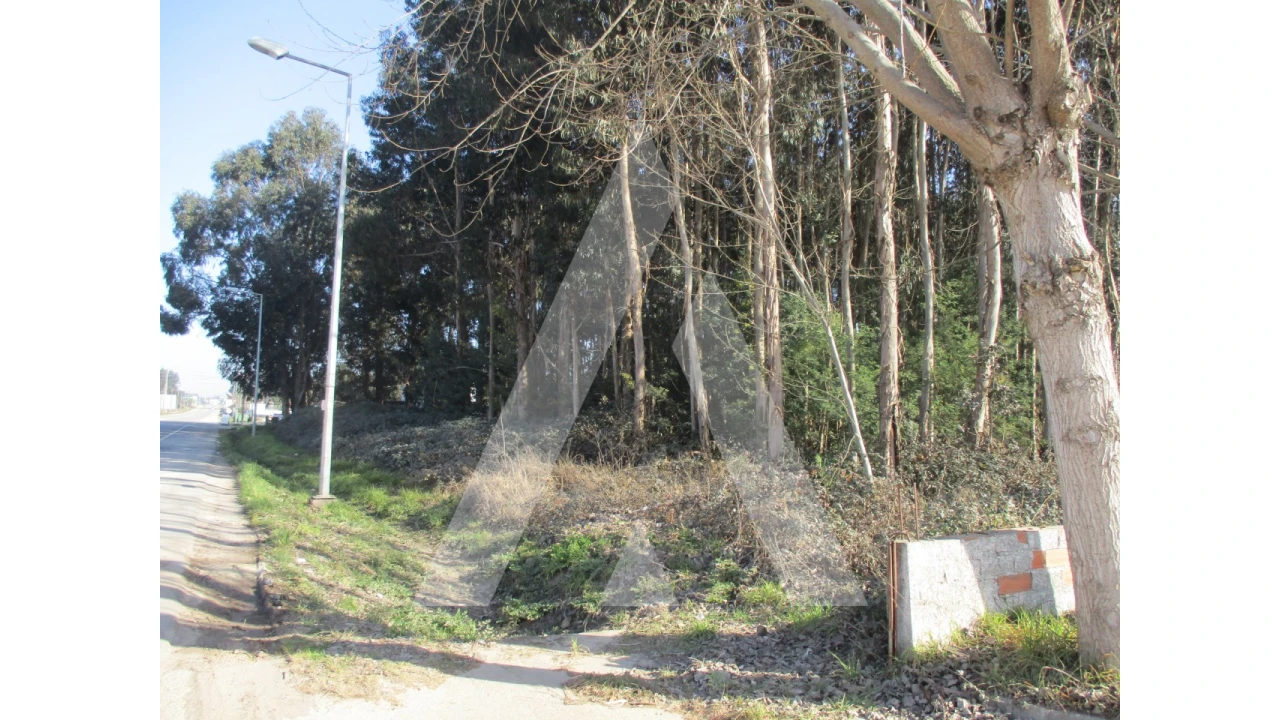Terreno para Venda em Barrô e Aguada de Baixo Foto 7
