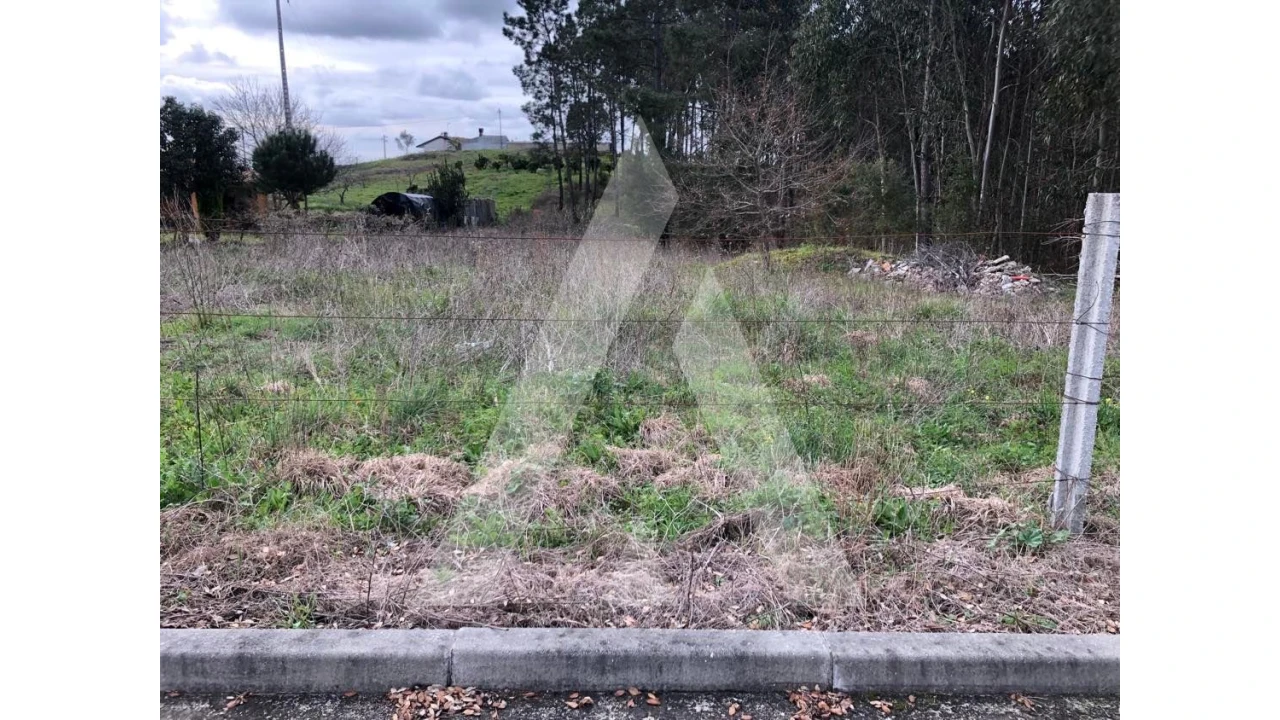 Terreno para Venda em Belazaima do Chão, Castanheira do Vouga e Agadão Foto 3