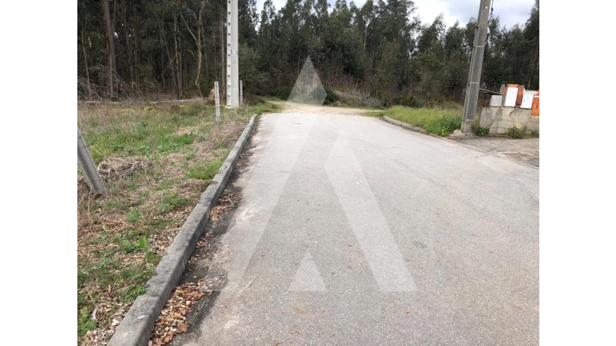 Terreno para Venda em Belazaima do Chão, Castanheira do Vouga e Agadão Foto 7