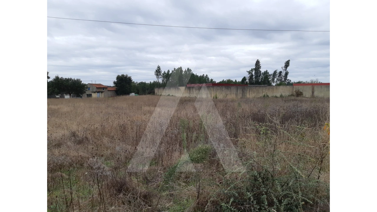 Terreno para Venda em Avelãs de Cima Foto 1