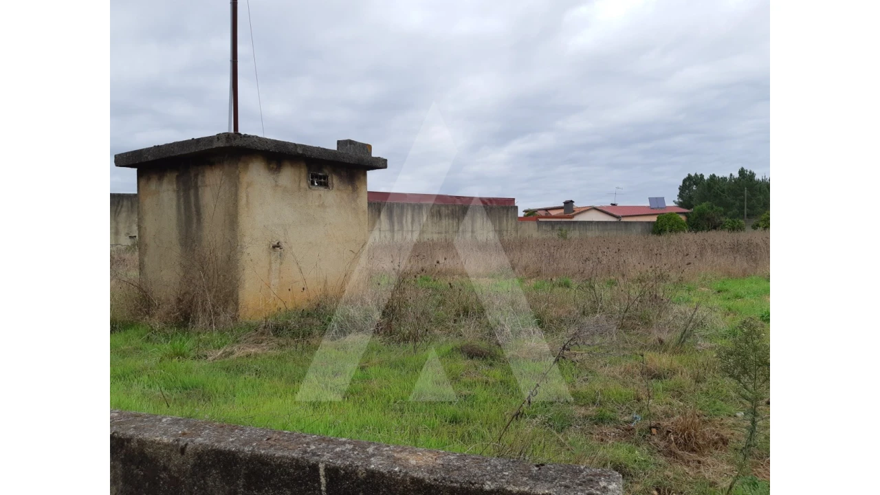Terreno para Venda em Avelãs de Cima Foto 3