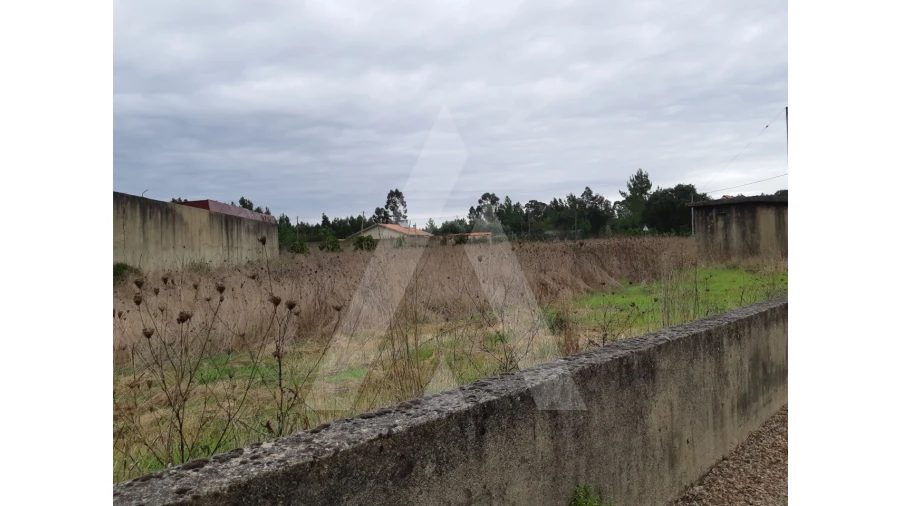 Terreno para Venda em Avelãs de Cima Foto 2