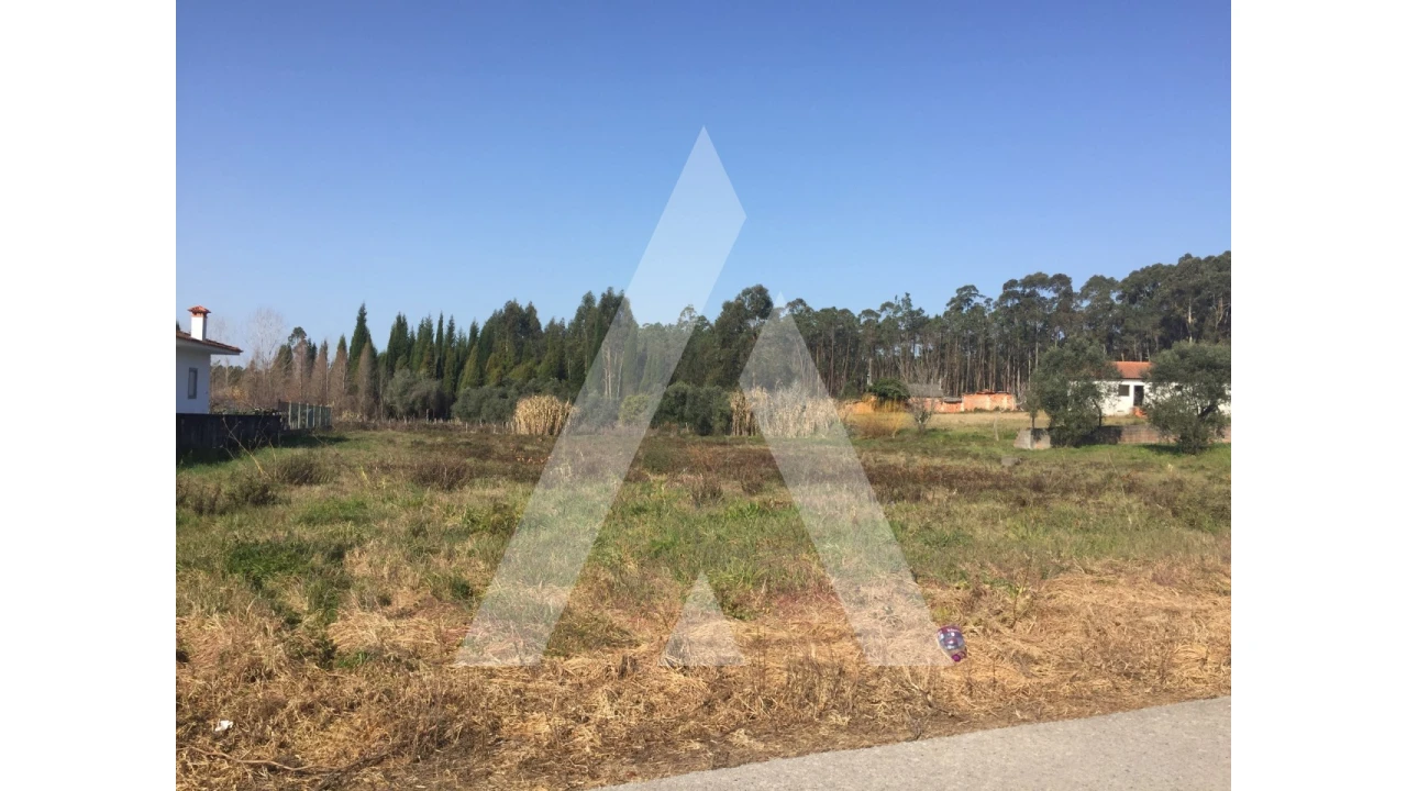Terreno para Venda em Covões e Camarneira Foto 2