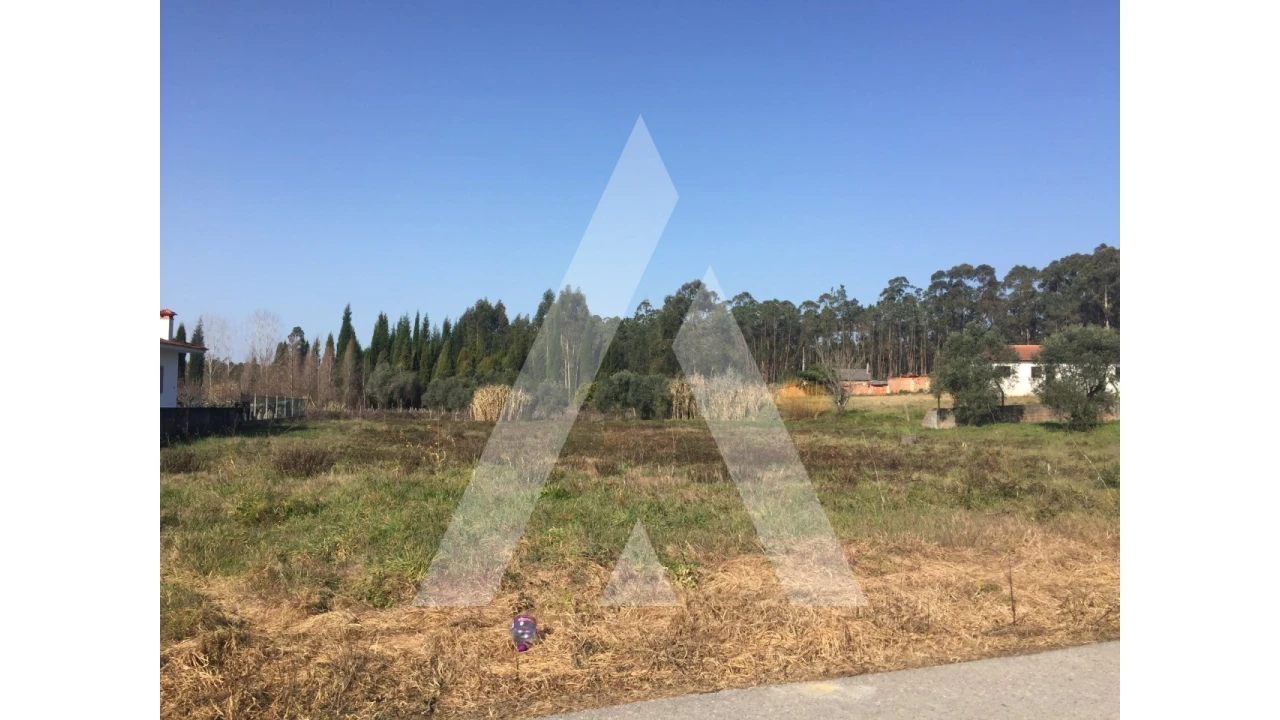 Terreno para Venda em Covões e Camarneira Foto 3