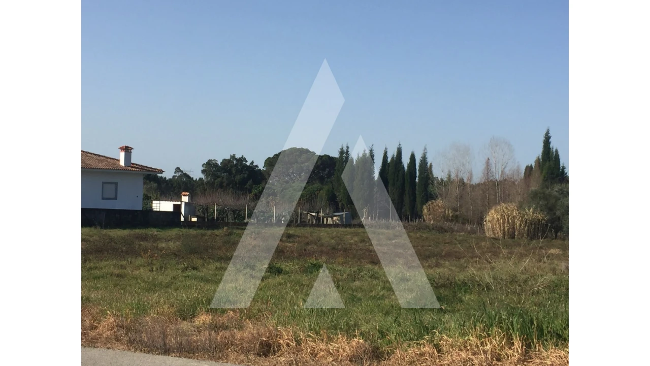 Terreno para Venda em Covões e Camarneira Foto 4