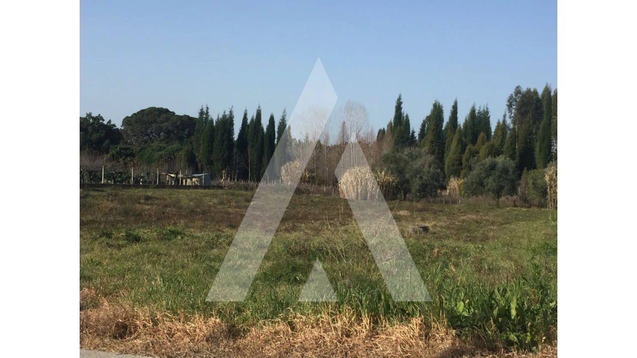 Terreno para Venda em Covões e Camarneira Foto 6
