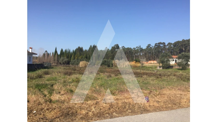 Terreno para Venda em Covões e Camarneira Foto 2