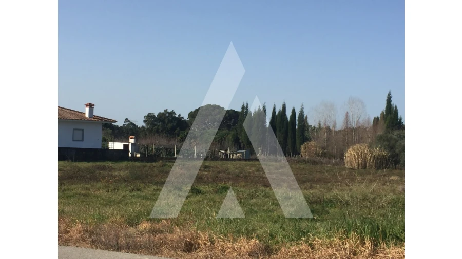 Terreno para Venda em Covões e Camarneira Foto 4