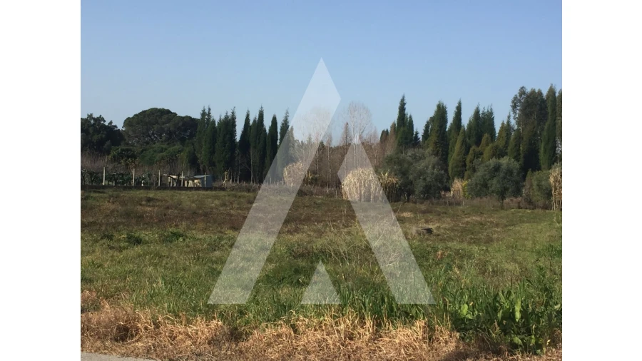 Terreno para Venda em Covões e Camarneira Foto 6