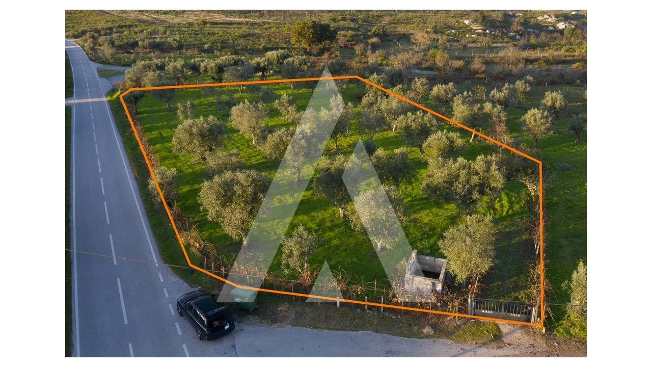 Terreno para Venda em Seixo da Beira Foto 2