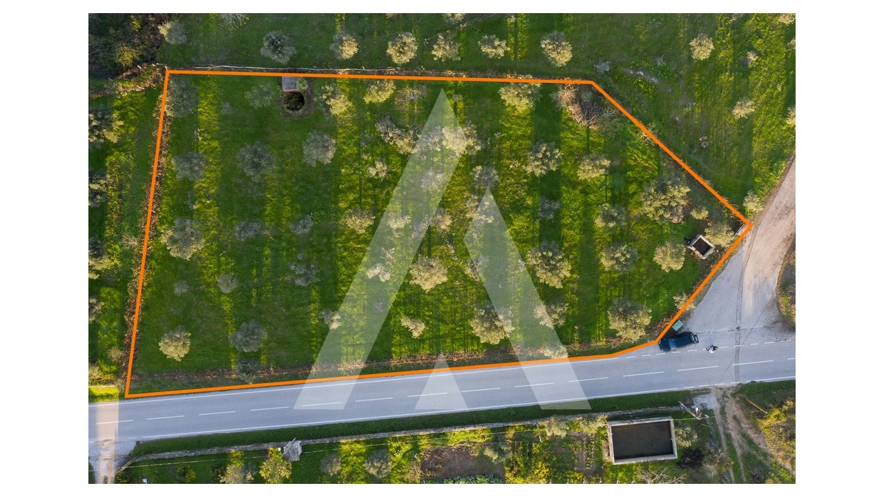 Terreno para Venda em Seixo da Beira Foto 3