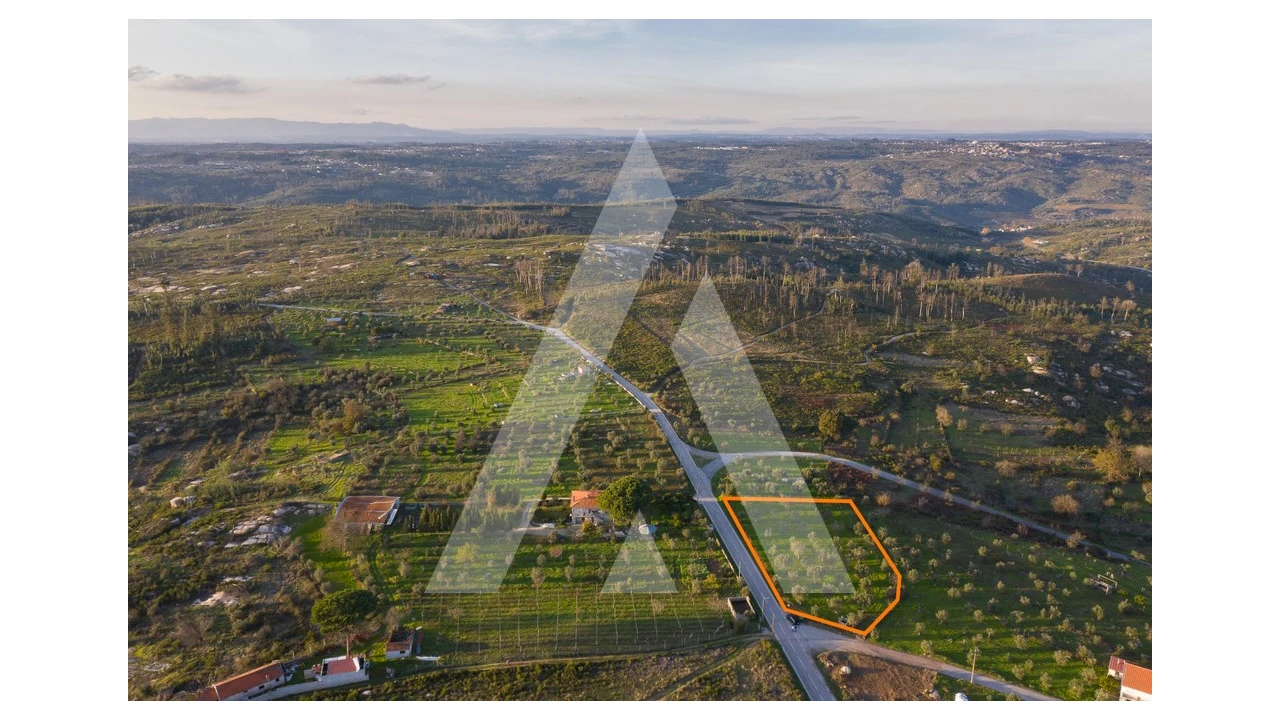 Terreno para Venda em Seixo da Beira Foto 7