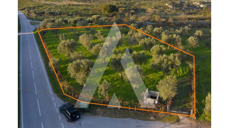 Terreno para Venda em Seixo da Beira Foto 2