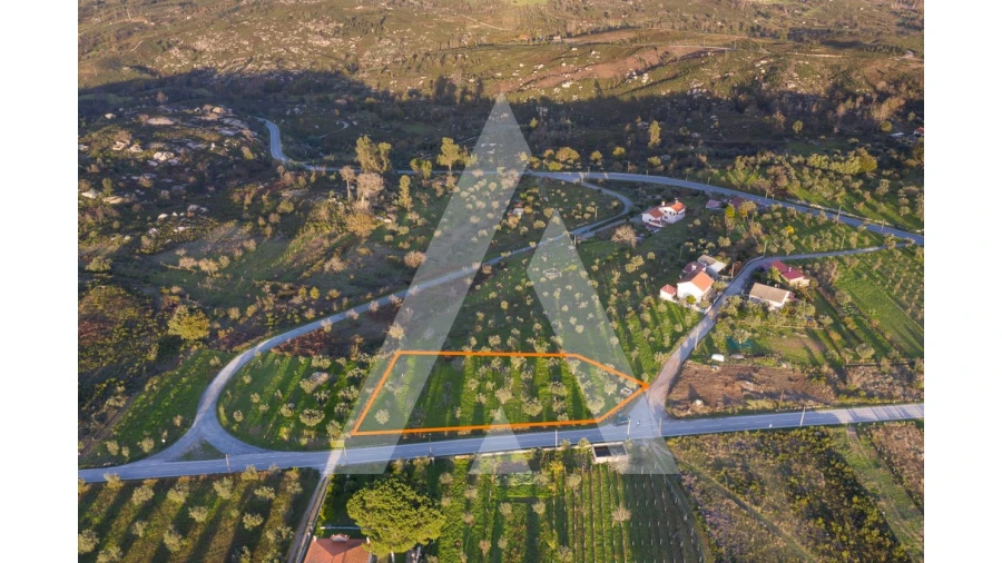 Terreno para Venda em Seixo da Beira Foto 4