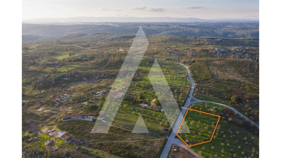 Terreno para Venda em Seixo da Beira Foto 5