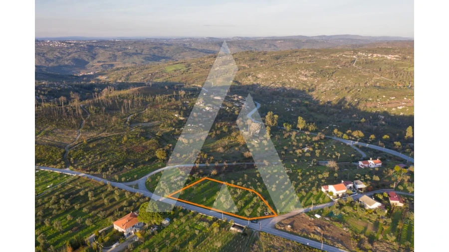 Terreno para Venda em Seixo da Beira Foto 6