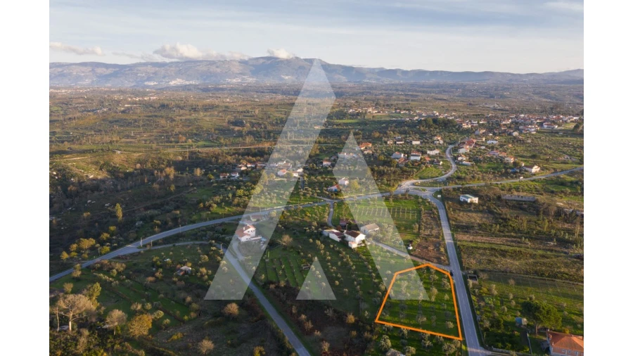 Terreno para Venda em Seixo da Beira Foto 8