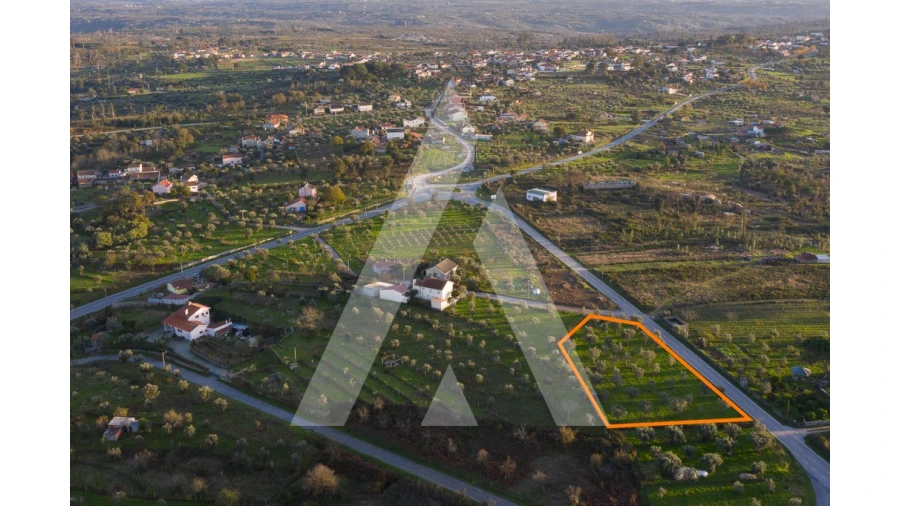 Terreno para Venda em Seixo da Beira Foto 1