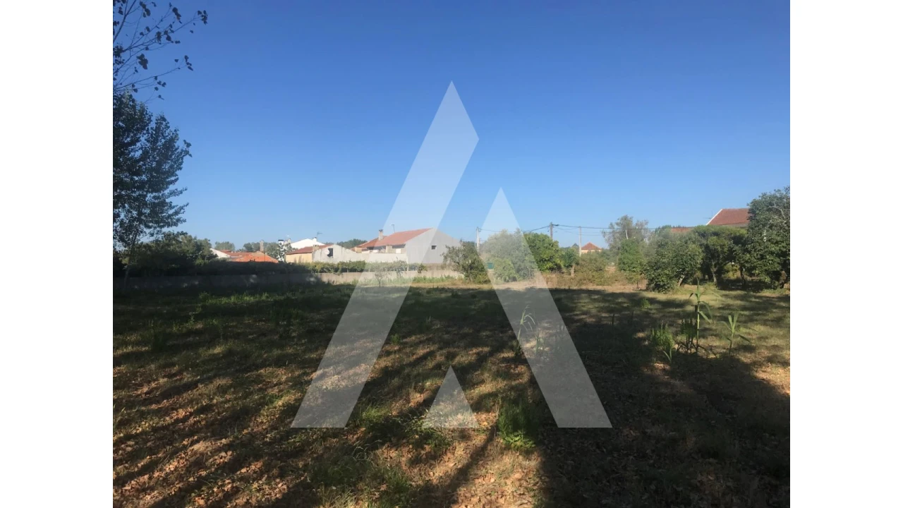 Terreno para Venda em Tamengos, Aguim e Óis do Bairro Foto 1