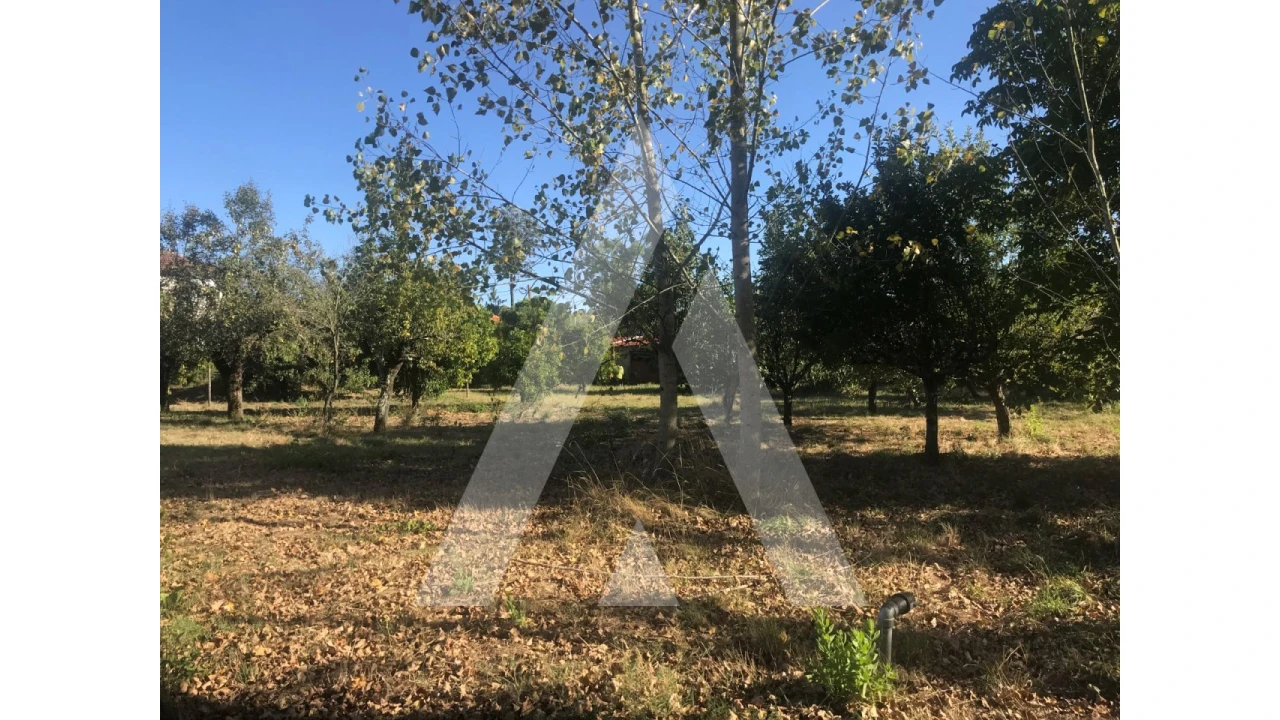 Terreno para Venda em Tamengos, Aguim e Óis do Bairro Foto 2