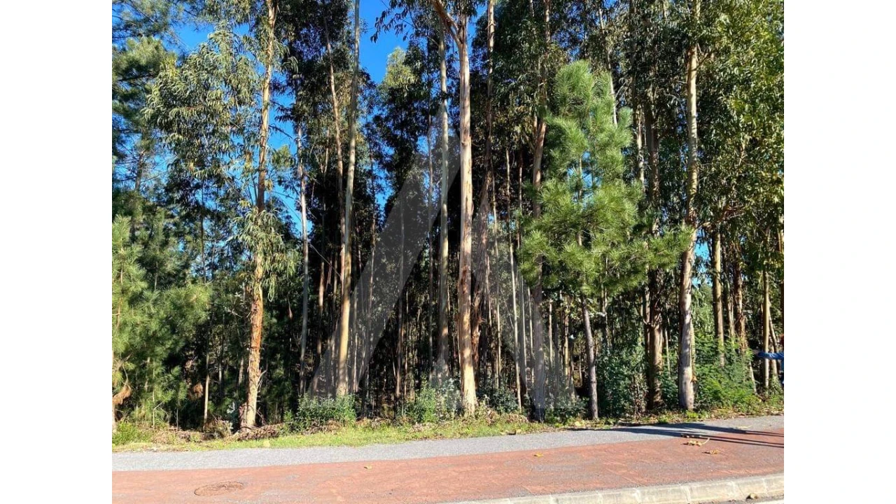 Terreno para Venda em Arcos e Mogofores Foto 3
