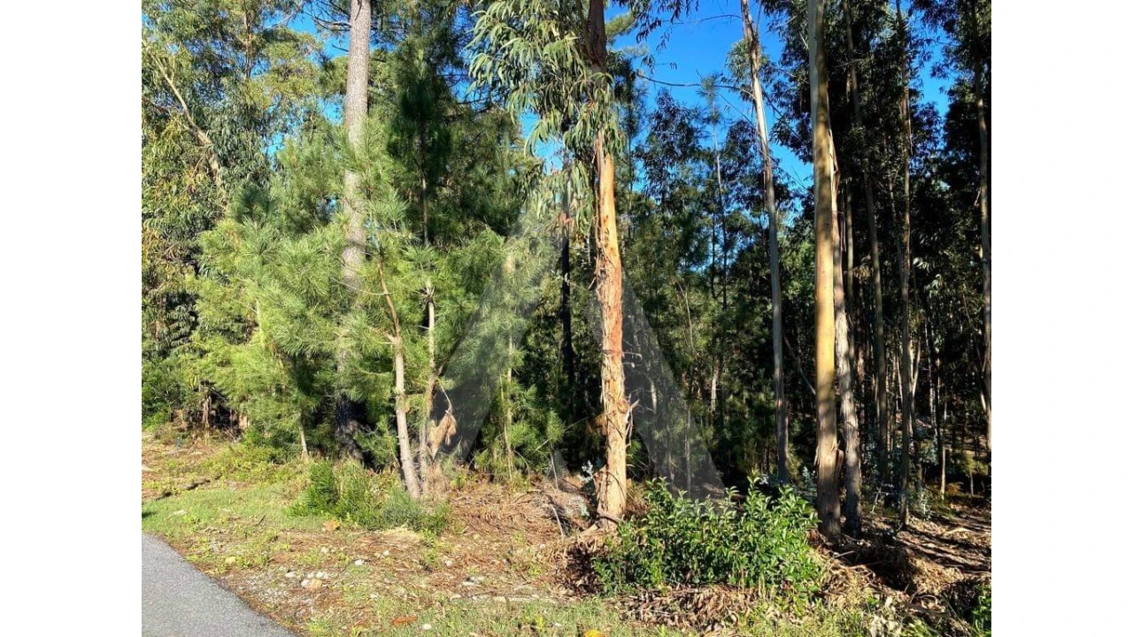 Terreno para Venda em Arcos e Mogofores Foto 4