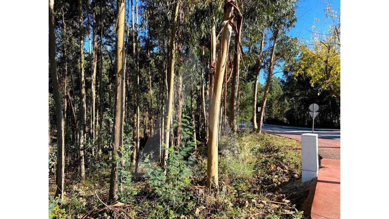 Terreno para Venda em Arcos e Mogofores Foto 5