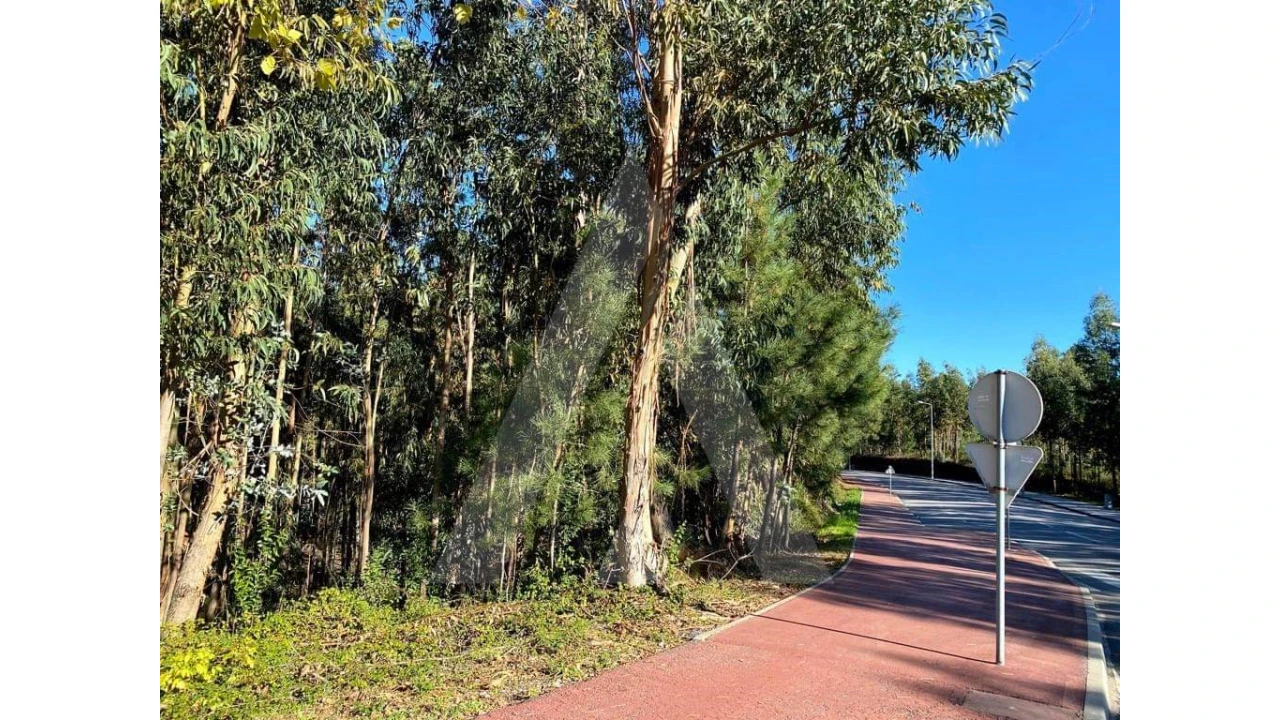 Terreno para Venda em Arcos e Mogofores Foto 6