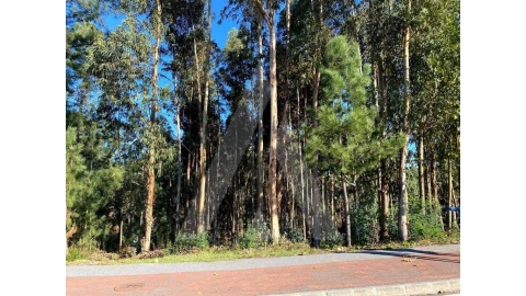 Terreno para Venda em Arcos e Mogofores