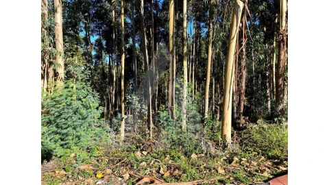 Terreno para Venda em Arcos e Mogofores
