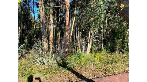 Terreno para Venda em Arcos e Mogofores