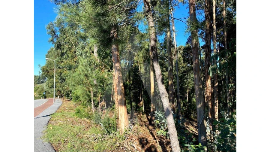 Terreno para Venda em Arcos e Mogofores Foto 2