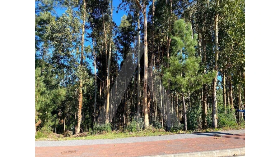 Terreno para Venda em Arcos e Mogofores Foto 3