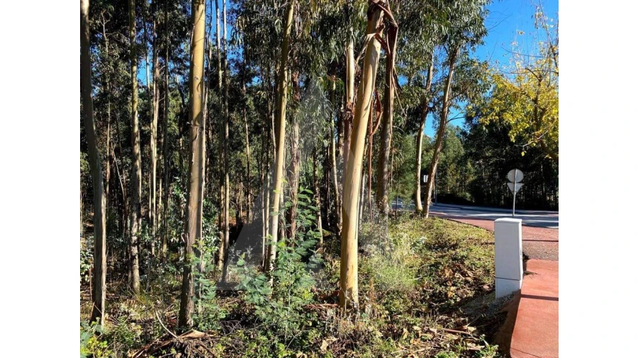 Terreno para Venda em Arcos e Mogofores Foto 5