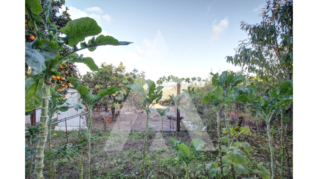 Moradia T6 para Venda em Fermentelos Foto 60