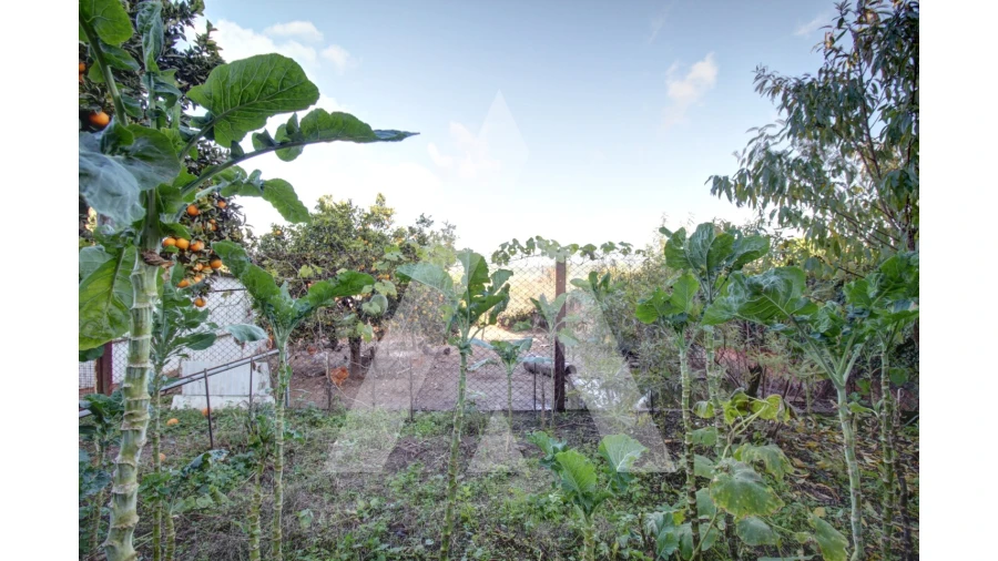 Moradia T6 para Venda em Fermentelos Foto 60