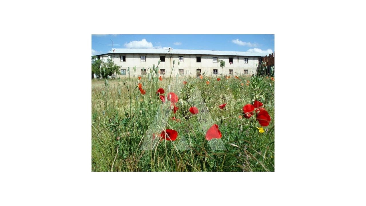Terreno para Venda em Tamengos, Aguim e Óis do Bairro Foto 1