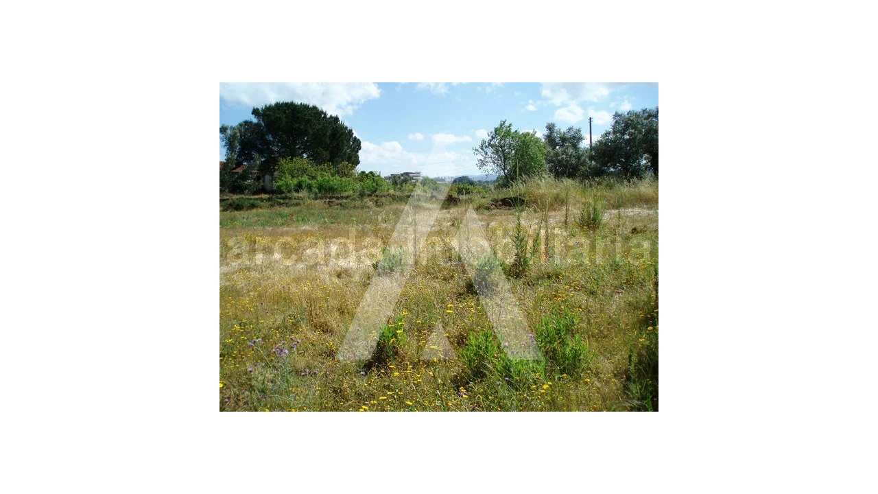 Terreno para Venda em Tamengos, Aguim e Óis do Bairro Foto 4