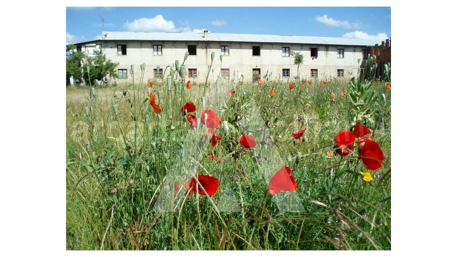 Terreno para Venda em Tamengos, Aguim e Óis do Bairro