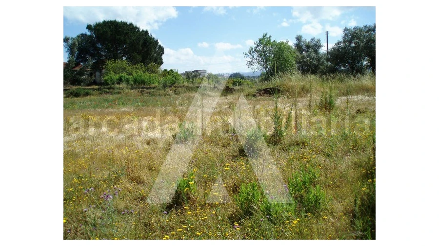 Terreno para Venda em Tamengos, Aguim e Óis do Bairro Foto 4