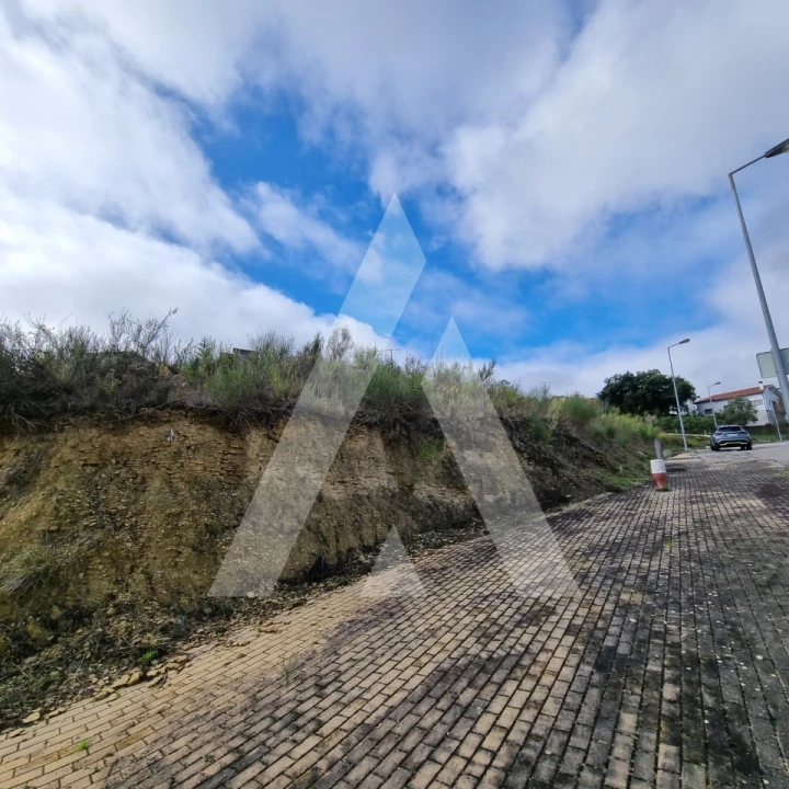 Terreno para Venda em Santa Clara e Castelo Viegas Foto 20